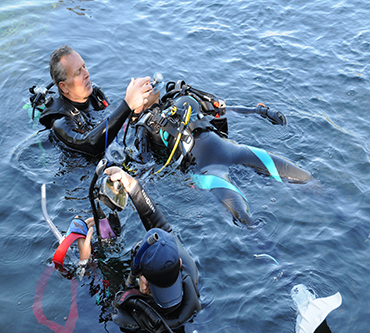 Padi Rescue Diver Course Albania
