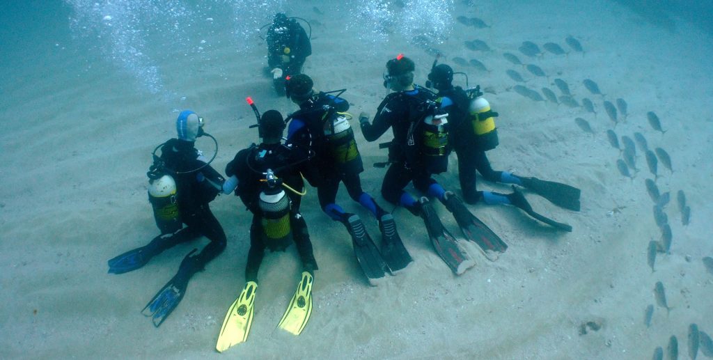 Open Water Diver