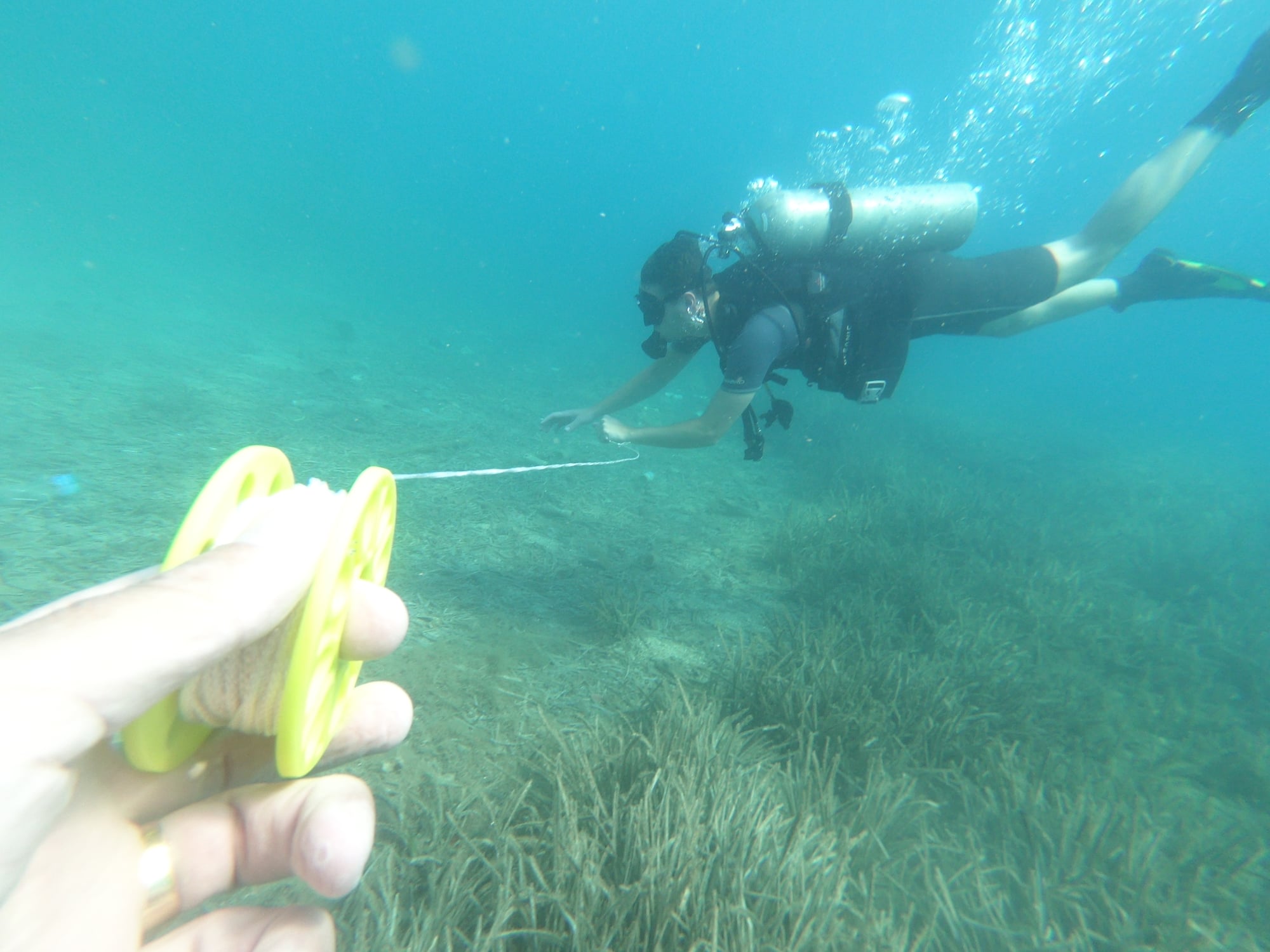 PADI Search and Recovery Diver