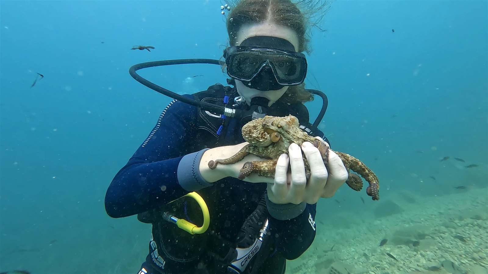 Hunda e Mërtesë dive site in Saranda, Albania