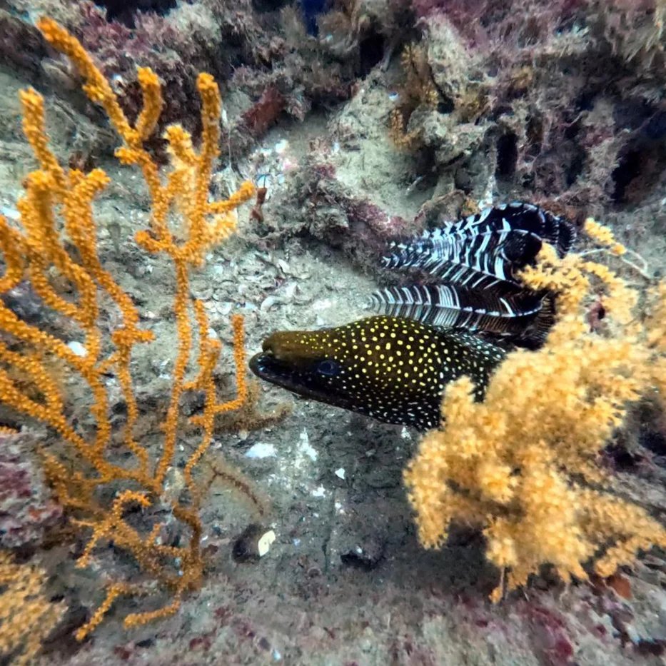 Hunda e Mërtesë dive site in Saranda, Albania