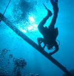 Explore communist shipwrecks while scuba diving in Albania with Saranda Diving's experienced guides.
