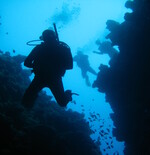 Discover the hidden gems of the Albanian coastline with Saranda Diving's scuba diving tours in Ksamil