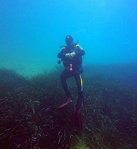 Padi Dive Instructor Albania